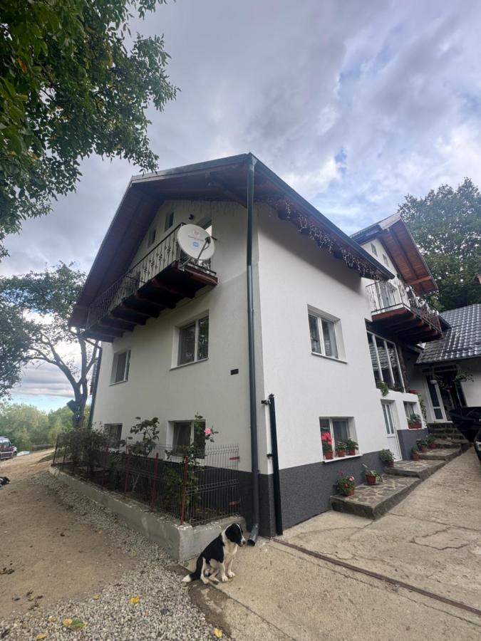 Casa din Frasin văzută din curte